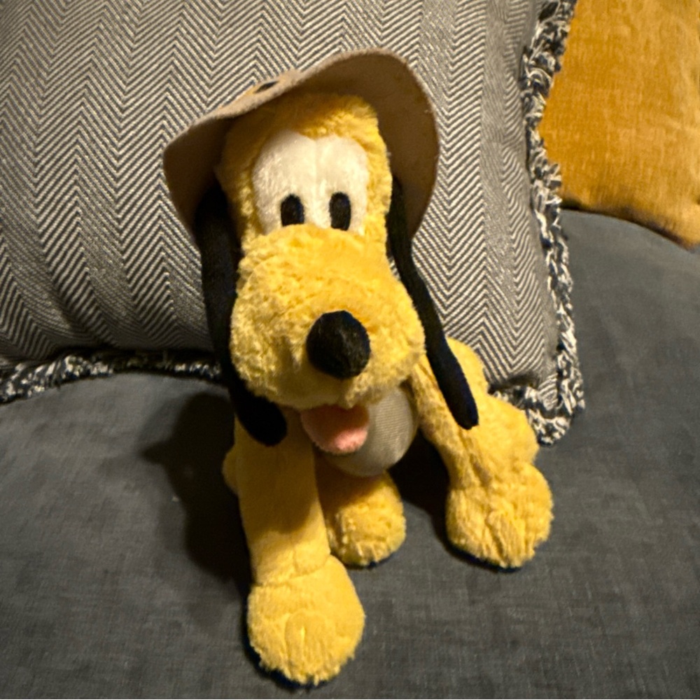 Pluto stuffed animal- Disney